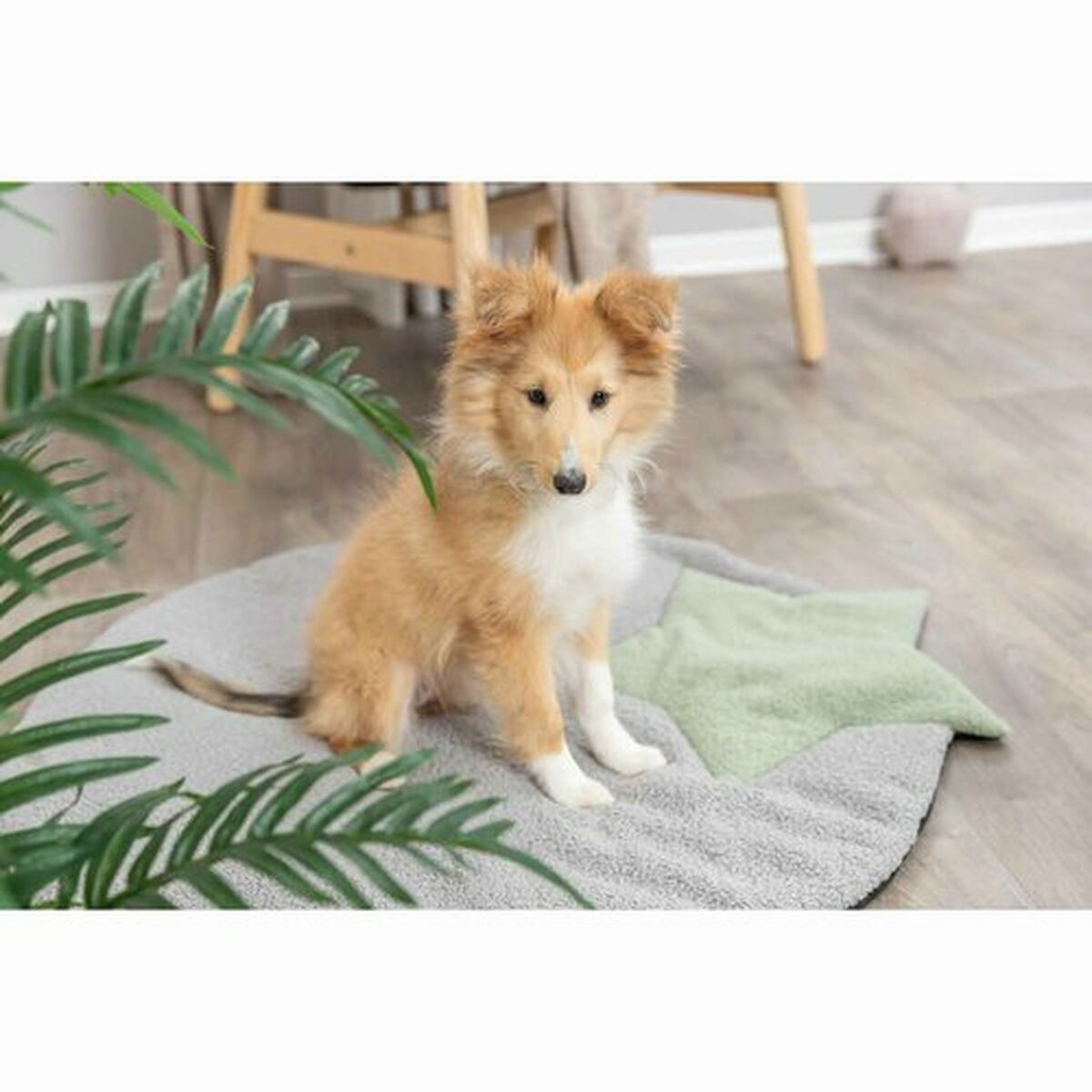 V5H44E63E8810E85F113D78EF00A4D3ED41R7446982P10