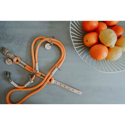 V3H39D350DE167CD09BC24D54A412D0CFB2R5575495P7