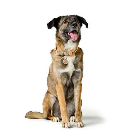 V3HBC8528F2D6D5DB3AAFAE6405A8BBFD1ER5575443P3