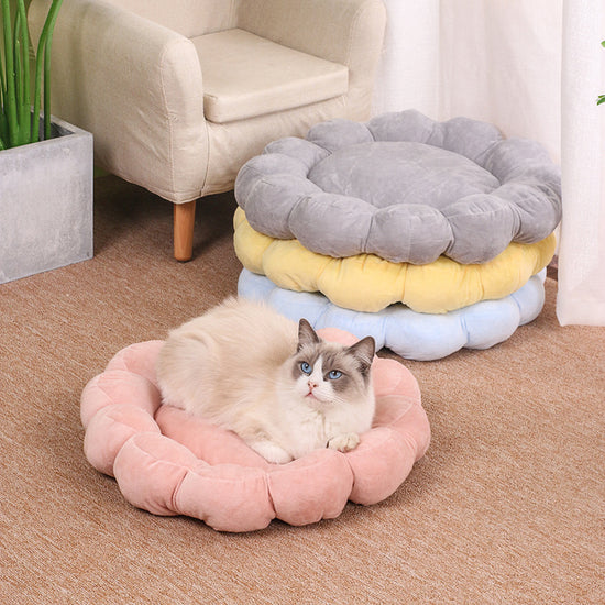 CAMA PARA MASCOTAS DE 50X50CM, MULTICOLOR EN FORMA DE PÉTALO, NIDO PARA PERROS Y GATOS, MEDIO CERRADO, REVERSIBLE, PELUCHE CORTO, CÓMODO Y SUAVE, CAMA PARA MASCOTAS Y GATOS