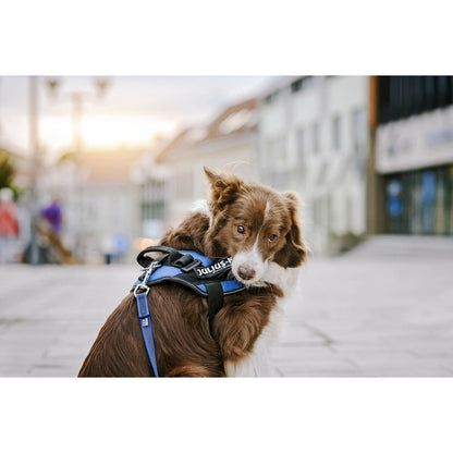 V5H104BFB5CE4C87D6C204F951C8E80D23ER5333060P2