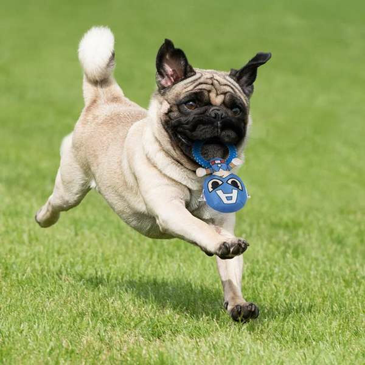 V4H20886313C0D1E23925AFC8D28A455B1DR5698364P4