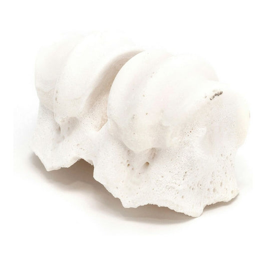 V9HED0B4C38EE8532FA23B93A47B1DCA0BER3891368P2