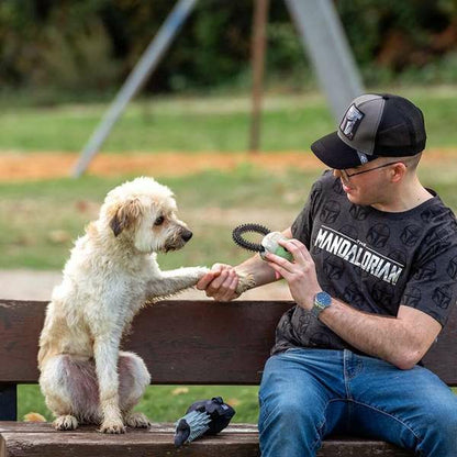 V3HE588D56C880210DAA8506D9F2B479550R4655317P6