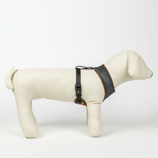 V8H15FF951070122D06A4699B4BBB3AA1A2R6466521P2