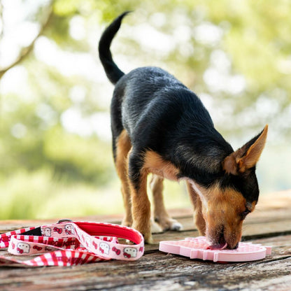 V2H377732F80CE7527E847A6E90FB0ECA4DR7055523P4