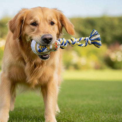 V2H230F88C2B1C820950154E22A4089E585R7165606P2