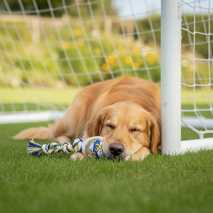 V2HB6C4F9B67D862A7D0EE9CF78DD81B83AR7187334P6