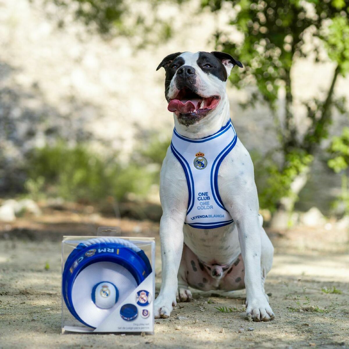 V3HDB1379E2FA50A286866D7A9685EF8A57R6453385P3