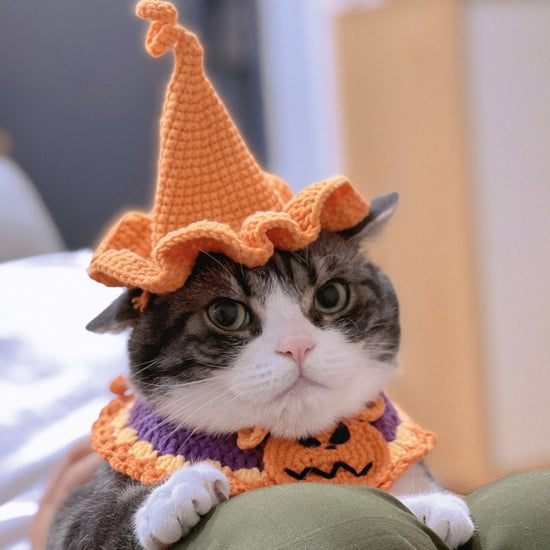 PERRO Y GATO BUFANDA TRIANGULAR DE LANA