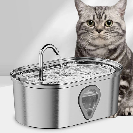 FUENTE AUTOMÁTICA PARA GATOS - DISPENSADOR INTELIGENTE DE AGUA